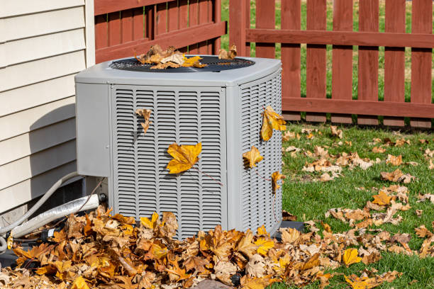 Best HVAC service technicians  in Fish Hawk, FL